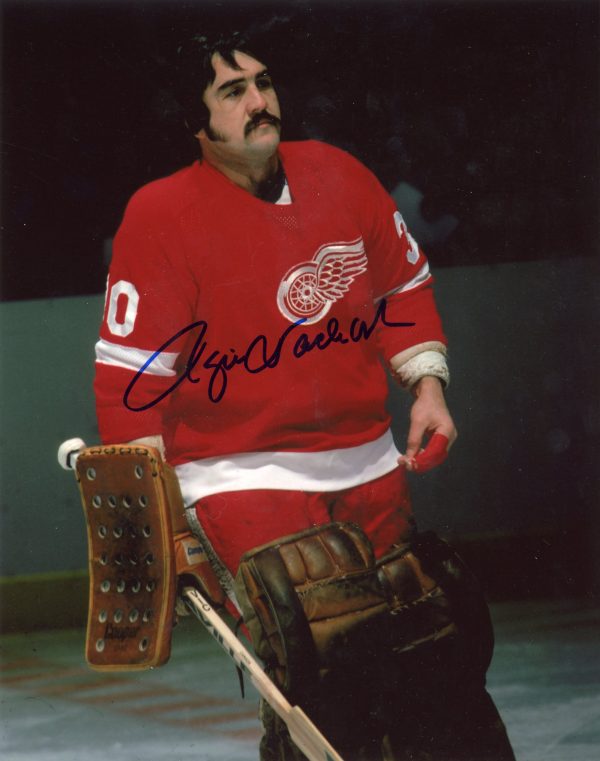 Rogie Vachon Autographed 8X10 Detroit Red Wings